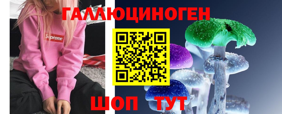 Вологда  Псилоцибиновые грибы ЛСД  Вход с VPN 